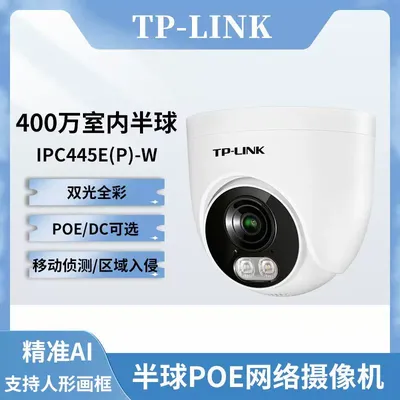TP-Link TL-IPC445EP-W