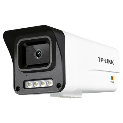 TP-Link TL-IPC534EP-WB